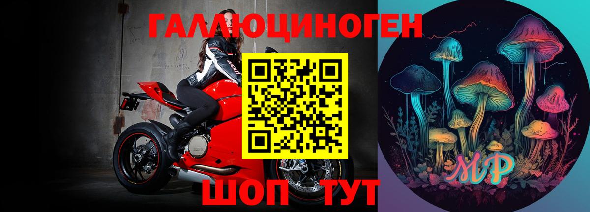 закладка  Вход с VPN  Галлюциногенные грибы мицелий  Кемерово  Галлюциногенные грибы Psilocybe 